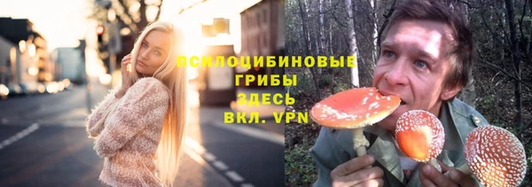 метадон Осташков