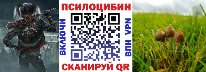 блэк спрут сайт  darknet Telegram  Псилоцибиновые грибы MAGIC MUSHROOMS  Колпашево 